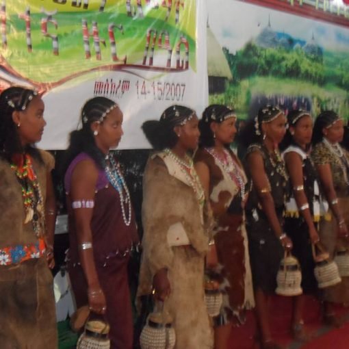 Hadiya Ethiopia Women Wearing Traditional Clothing-Hairdo-Decorations Nov 2014