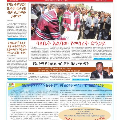 Hadiya Factory That Never Happened p2