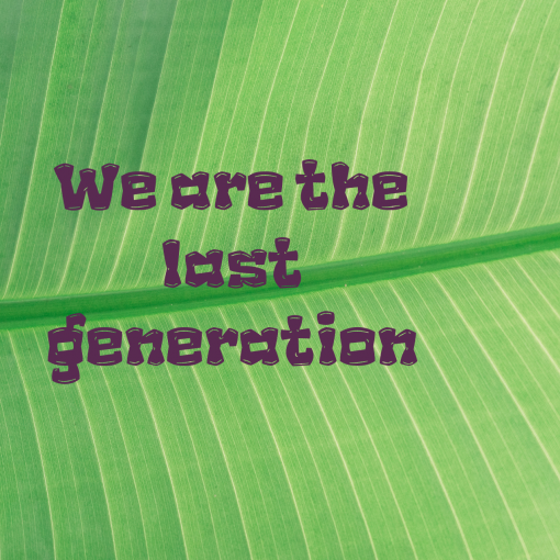 V2 WE ARE THE LAST GENERATION
